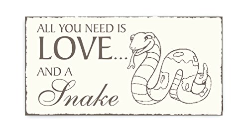 SCHILD Dekoschild « All you need is LOVE and a SNAKE » Schlange Vintage Holzschild Türschild Reptilien Zoo Tierpark von DEKOLANDO