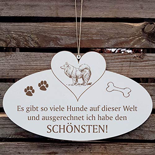 SCHILD Dekoschild mit Herz « Schönster HUND der WELT - SPITZ » ca. 20 x 12 cm - mit Motiv und Spruch - Shabby Vintage Holzschild Türschild - Kleinspitz Großspitz Mittelspitz von DEKOLANDO