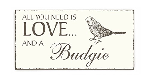 SCHILD Dekoschild mit Spruch « All you need is LOVE and a BUDGIE » Wellensittich Sittich Shabby Vintage Holzschild Türschild selbstklebend von DEKOLANDO