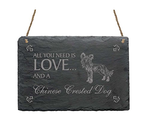 Schiefertafel « All You Need is LOVE and a CHINESE CRESTED DOG » Chinesischer Schopfhund - Schild mit Hunde Motiv - Dekoration Dekoschild Wanddeko von DEKOLANDO