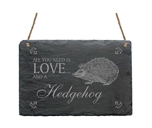 Schiefertafel « All you need is LOVE and a HEDGEHOG » Schild mit Motiv Igel - Türschild Dekoschild Dekoration Wanddeko - Tiere Garten von DEKOLANDO
