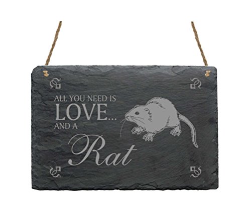Schiefertafel « All you need is LOVE and a RAT » Schild mit Motiv Ratte - Türschild Dekoschild Wanddeko - Ratten Haustiere Nager Schiefertafel « All you need is LOVE and a RAT » Schild mit Motiv Ratte - Türschild Dekoschild Wanddeko - Ratten Haustiere Nager von DEKOLANDO