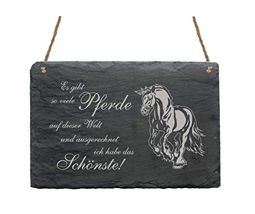 Schiefertafel Schild Spruch Friese Schönstes Pferd der Welt 22 x 16 cm von DEKOLANDO