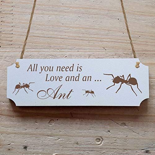 Schild « AMEISEN » 15 x 5 cm - Dekoschild Holzschild Türschild - Myrmekologe Natur von DEKOLANDO