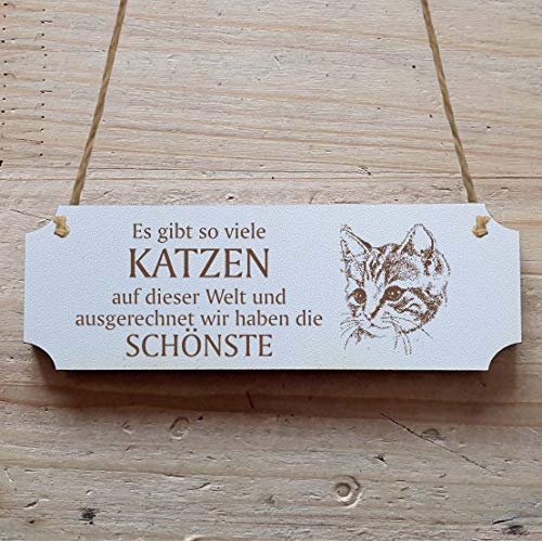 Schild « ES GIBT SO VIELE KATZEN AUF DER WELT UND AUSGERECHNET WIR HABEN DIE SCHÖNSTE » 15 x 5 cm - Dekoschild Holzschild Türschild - Katze Kater Cat von DEKOLANDO