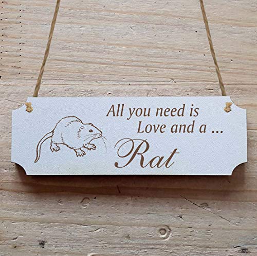 Schild « RATTE » 15 x 5 cm - Dekoschild Holzschild Türschild Zoo Safari Tierpark Haustier Schild « RATTE » 15 x 5 cm - Dekoschild Holzschild Türschild Zoo Safari Tierpark Haustier von DEKOLANDO