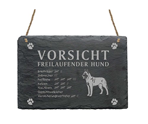 Schild Schiefer Spruch Malinois Vorsicht Freilaufender Hund Türschild 22 x 16 cm von DEKOLANDO