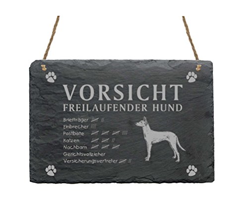 Schild Schiefer Spruch Podenco Vorsicht Freilaufender Hund Türschild 22 x 16 cm von DEKOLANDO