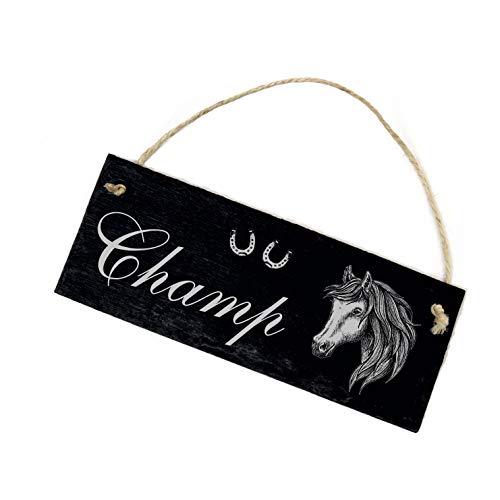 Schild Schiefer Stalltafel Gravur - Andalusier - Pferd Name Boxenschild 22x8cm Schild Schiefer Stalltafel Gravur - Andalusier - Pferd Name Boxenschild 22x8cm von DEKOLANDO