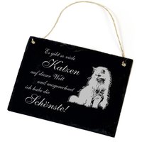 Schild Schiefertafel Angorakatze - Schönste Katze Der Welt Spruch 22x16 cm Türschild Wanddeko Dekoschild Geschenk Geburtstag Katzen von DEKOLANDO