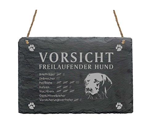 Schild Schiefertafel Spruch Magyar Vizsla Vorsicht Freilaufender Hund 22 x 16 cm Schild Schiefertafel Spruch Magyar Vizsla Vorsicht Freilaufender Hund 22 x 16 cm von DEKOLANDO