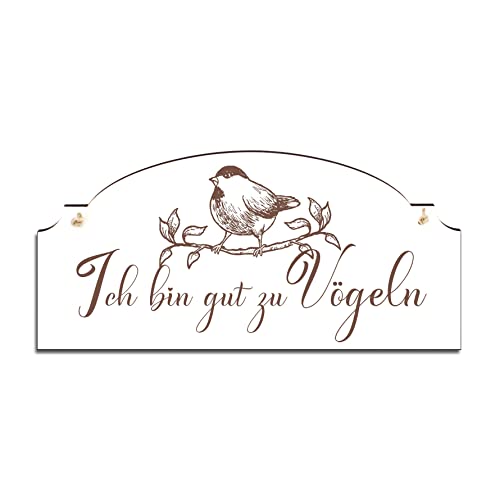 Schild mit Spruch Ich bin gut zu Vögeln - Frühling Dekoschild mit Vogel Spatz Motiv Vintage Türschild Deko Garten - 20 x 10 von DEKOLANDO