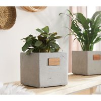 Bertopf Cube aus Beton, grau, Pflanztopf, Blumentopf für Zimmerpflanzen, Pflanzgefäß, Blumenkübel von DEKOLEIDENSCHAFT
