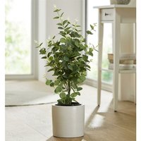 Dekoleidenschaft - Kunstpflanze Eukalyptus im Topf, 65 cm hoch, Zierpflanze, Büropflanze, Topfpflanze von DEKOLEIDENSCHAFT
