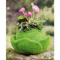 Dekoleidenschaft - Pflanzer Moos-Rose aus Fiberglas, 30x17 cm, Pflanzgefäß, Blumentopf, Pflanztopf, Pflanzgefäß, Gartendeko für Draußen von DEKOLEIDENSCHAFT