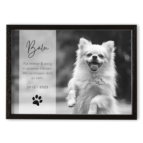 DEL MÀ Unique & Personal Andenken an verstorbenen Hund Bild im Stil einer Gedenktafel zur Erinnerung & Trauer personalisiert mit Foto Geschenk Hundebesitzer inkl. Bilderrahmen Din A4 (Querformat) von DEL MÀ Unique & Personal