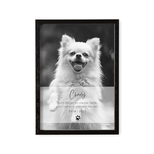 DEL MÀ Unique & Personal Andenken an verstorbenen Hund Bild im Stil einer Gedenktafel zur Erinnerung & Trauer personalisiert mit Foto Geschenk für Hundebesitzer mit Bilderrahmen Din A4 (Hochformat) von DEL MÀ Unique & Personal