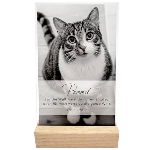 DEL MÀ Unique & Personal Gedenktafel Katze Andenken an verstorbene Katze Bild aus Acrylglas personalisiert zur Erinnerung & Trauer Foto Geschenk für Katzenbesitzer inkl. Holzfuß 13x20 cm (Hochformat) von DEL MÀ Unique & Personal