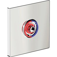 Delabie Abdeckplatte f. DU-Selbstschl.MBatt. TEMPOMIX 3 UP von DELABIE