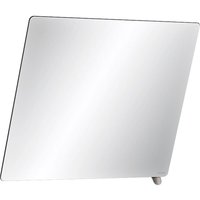 Delabie Kippspiegel 600x500 mm, Griff anthrazit von DELABIE
