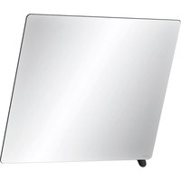 Delabie Kippspiegel 600x500 mm, Griff matt schwarz von DELABIE