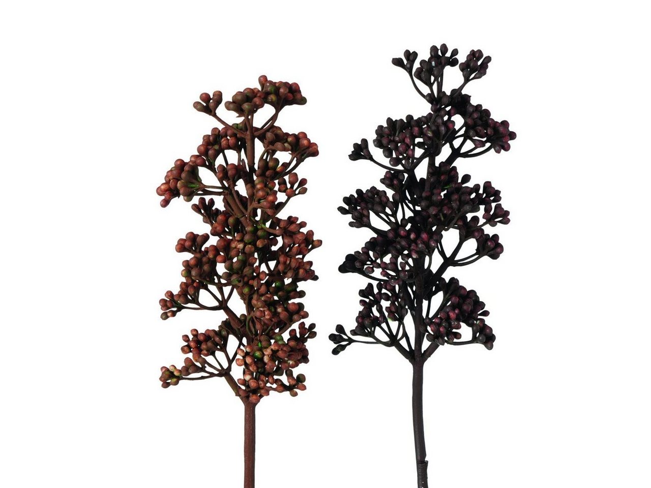 Trockenblume Alette, DELAVITA, Höhe 54 cm, Dekozweig, Akazie, 2er Set von DELAVITA