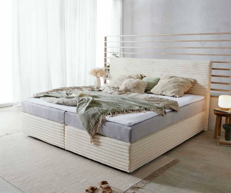Boxspringbett Dream-Well Plüsch-Cord Beige 200x200 cm mit Taschenfederkernmatratze und Topper Visco von DELIFE