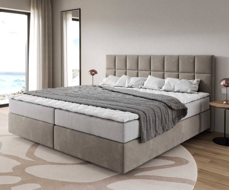 DELIFE Boxspringbett Dream-Fine, Mikrofaser Beige 200x200 cm mit Taschenfederkernmatratze und Topper Vi von DELIFE