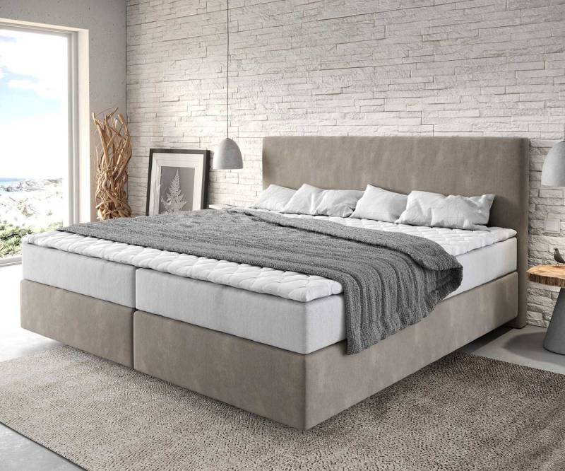 DELIFE Boxspringbett Dream-Well, Mikrofaser Beige 200x200 cm mit Taschenfederkernmatratze und Topper Vi von DELIFE