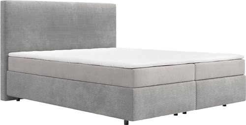 DELIFE Boxspringbett Dream-Well Cord Silbergrau 160x200 cm mit TFK Matratze u. Topper von DELIFE