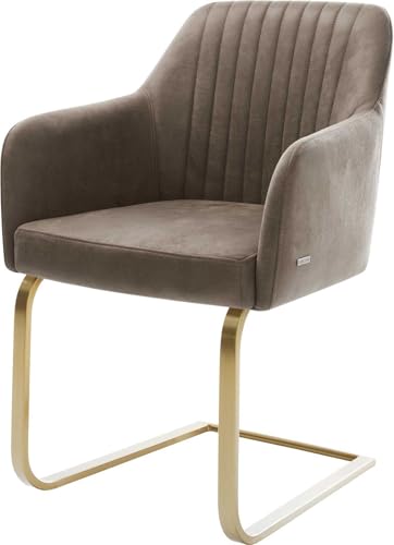DELIFE Schwingstuhl Greg-Flex Freischwinger flach Gold Mikrofaser Taupe Vintage Taschenfederkern DELIFE Schwingstuhl Greg-Flex Freischwinger flach Gold Mikrofaser Taupe Vintage Taschenfederkern von DELIFE