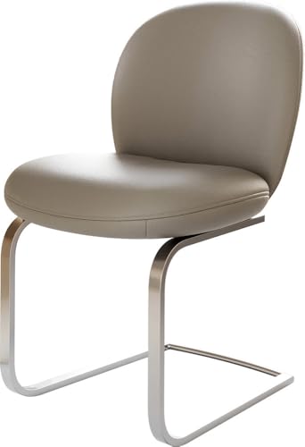 Schwingstuhl Nube-Flex Freischwinger flach Edelstahl Echt-Leder Schlamm Taschenfederkern Schwingstuhl Nube-Flex Freischwinger flach Edelstahl Echt-Leder Schlamm Taschenfederkern von DELIFE