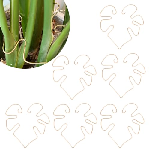 DELORIGIN 6 Stück Pflanzenkletterstammstützen Monstera Blattstabilisator Greiferhalter Blumenpflanzenpfähle Spalierstammhaken Für Gärtner Pflanzen Gedeihen von DELORIGIN