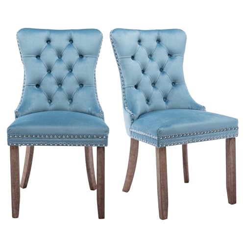DELVOYE Esszimmertischstühle 2er-Set, hellblau, getufteter Samt, Küchenstuhl mit Ringzug und Massivholzbeinen, gepolstert, Silla de Comedor, für Western-Restaurant, Wohnzimmer, Puderzimmer, Hotel von DELVOYE