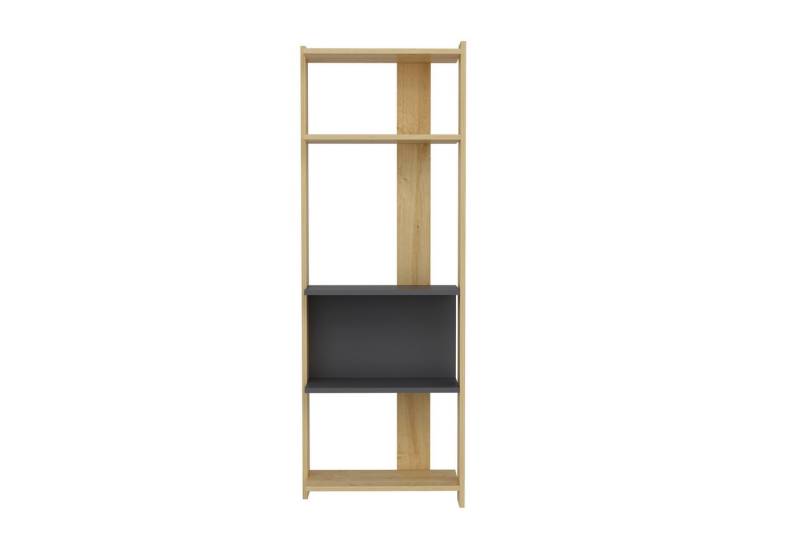 DEMA Home Bücherregal Abis Wide, Standregal 160 cm, Elegant von DEMA Home