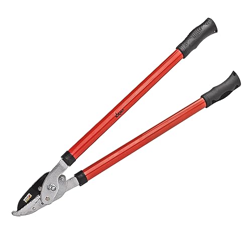 DEMA Amboss Astschere Ø 40 mm Fixcut – Strauchschere & Gartenschere für Baumschnitt, Ergonomisch, Präzise Schnitttechnik, Langlebig, Komfortables Arbeiten, Gehärtete Klinge, Max. Schnitt Ø 40 mm DEMA Amboss Astschere Ø 40 mm Fixcut – Strauchschere & Gartenschere für Baumschnitt, Ergonomisch, Präzise Schnitttechnik, Langlebig, Komfortables Arbeiten, Gehärtete Klinge, Max. Schnitt Ø 40 mm von DEMA