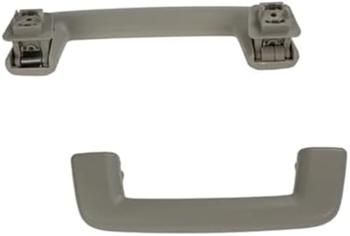 DEMULAX Sicherheitshandlauf for die Fahrzeuginnendecke, innerer Dachzuggriff vorne hinten, for Land, for Rover, Discovery 3, Discovery 4 (1 Stück, grau hinten) Auto-Haltegriff(BLACK 1pcs Grey Front) von DEMULAX