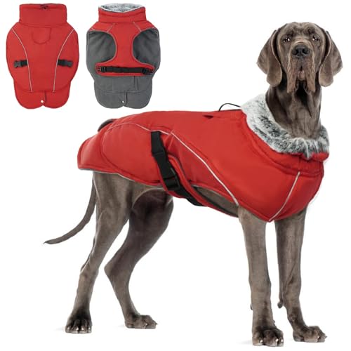 DENTRUN Hundemantel Winter Wasserdicht mit Geschirr Hundejacke Weste Fleece Reflexstreifen Fashion Sports Wintermantel Hund Jacke mit Bauchschutz Beinen für Kleine Mittelgroße Grosse Hunde von DENTRUN