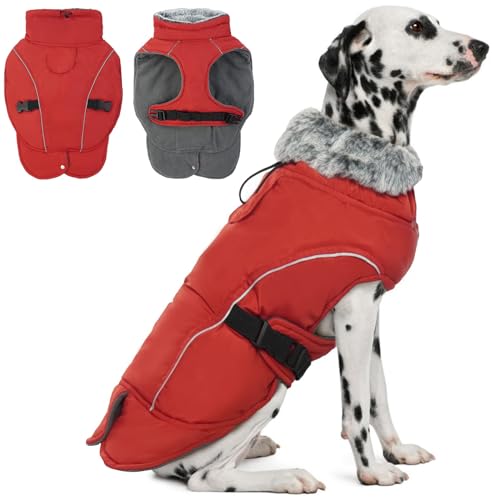 DENTRUN Hundemantel Winter Wasserdicht mit Geschirr Hundejacke Weste Fleece Reflexstreifen Fashion Sports Wintermantel Hund Jacke mit Bauchschutz Beinen für Kleine Mittelgroße Grosse Hunde von DENTRUN