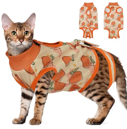 DENTRUN Katzen OP Body Bequemer Body für Katzen nach OP mit eng anliegendem Schnitt Perfekt bei Hautreizungen Wundpflege Weibliche(Orange, M) DENTRUN Katzen OP Body Bequemer Body für Katzen nach OP mit eng anliegendem Schnitt Perfekt bei Hautreizungen Wundpflege Weibliche(Orange, M) von DENTRUN