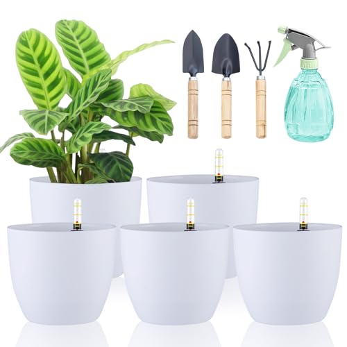 DENUOTOP Blumentopf Selbstbewässernd mit Wasseranzeiger Weiß 5er-Set, 15cm Selbstbewässerungstopf Wasserspeicher Pflanzgefäß Übertopf für Innen und Außenbereich, Self Watering Pot von DENUOTOP