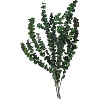 Blumenbündel Eukalyptus, L:45cm, grün von DEPOT