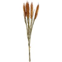 Blumenbündel Gerste ca.40cm, dkl-orang von DEPOT
