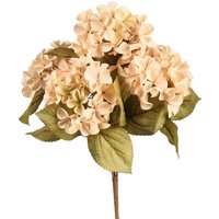 Blumenbündel HORTENSIE ca.40cm, creme von DEPOT