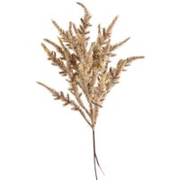 Blumenpick Astilbe, L:29cm, natur von DEPOT