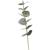 Blumenpick EUKALYPTUS ca.27cm, grün von DEPOT