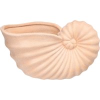 Dekofigur Muschel ca.18x9x10,5cm, beige von DEPOT