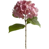 Hortensie ca. 60cm, rosa von DEPOT