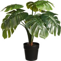 MONSTERA im Topf ca.55cm, grün von DEPOT