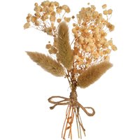 Ministrauß DRIED FLOWERS ca.15cm, natur von DEPOT